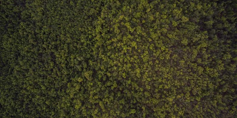 AI设计如何革新中秋礼品市场：智能定制月饼礼盒的图案与文案