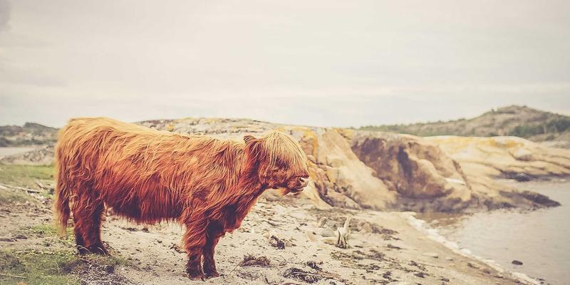 中秋礼品新思路：如何通过地方特色文化定制月饼礼盒，提升情感价值与品牌溢价