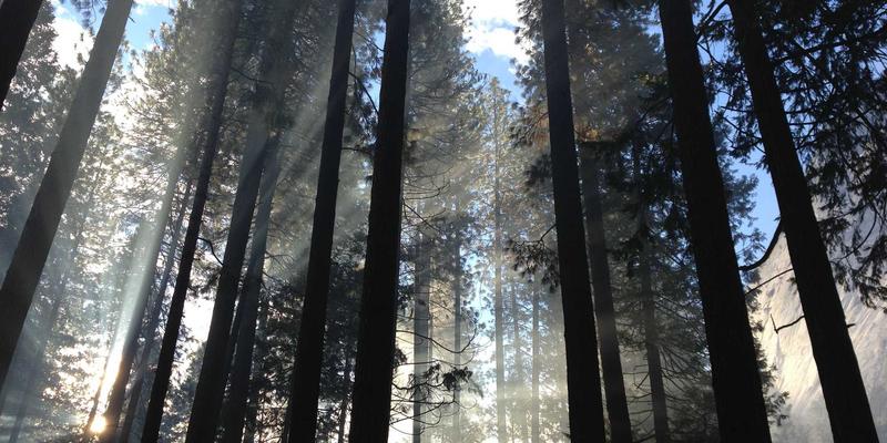 从传统到个性:深度解析月饼定制新趋势,如何用创意礼盒重塑中秋情感联结