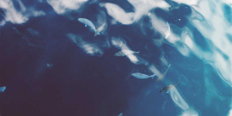 企业月饼定制全攻略：从创意到礼盒的完整教程