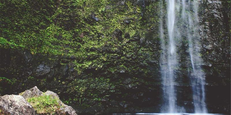 健康养生新趋势：低糖低脂月饼礼盒定制方案与中秋礼品市场洞察