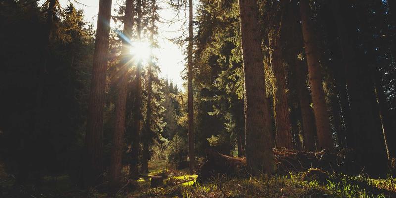 后疫情时代中秋新趋势：礼品平台如何打造健康监测与营养定制月饼礼盒
