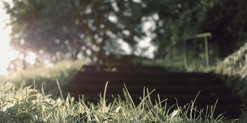 地方特色食材融入月饼定制：企业采购与礼盒定制的创新实践