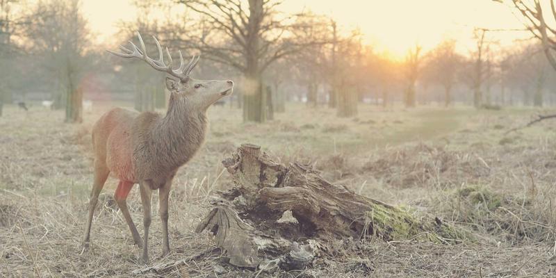 月饼定制52:解锁中秋礼品新思路,让节日心意独一无二