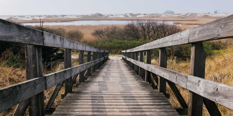 月饼定制70:企业采购新趋势,如何通过礼品平台打造专属月饼礼盒?