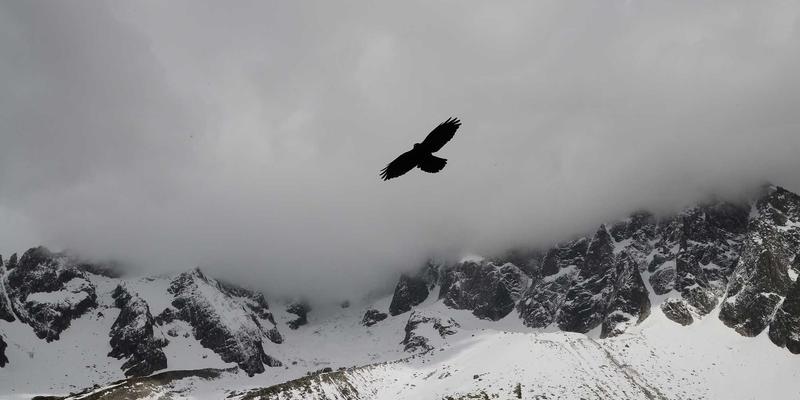 月饼定制90：解锁中秋礼盒新范式，定制专属情感印记