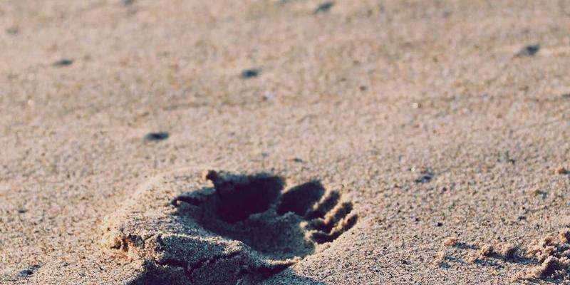 月饼定制：从传统中秋礼品到现代节日礼盒的文化升级