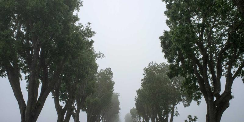 月饼定制：超越传统，打造专属节日礼品的艺术